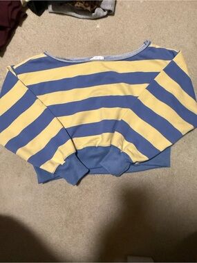 Striped Cropped Sweatshirt in Blue and Yellow